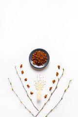 the chaga mushroom. composition of pieces of birch fungus chaga and homeopathic medicine pills in jar on a white background. the concept of alternative medicine. vertical image