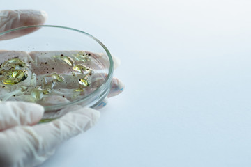 Research of viruses and bacteria, researcher holds a Petri dish with a sample.