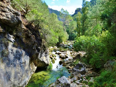 Impresionante paisaje de cascadas de agua y r&iacute;os que se abren paso entre el verde de la vegetaci&oacute;n y el bosque en las monta&ntilde;as en el Parque Natural de la Sierra de Cazorla