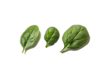 three green spinach leaves on a white background