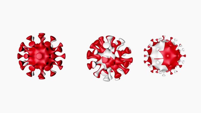 3D animation Coronavirus 2019-nCoV of Canada. Canadian North American country flag in virus ball spheres covid19, on white background. Alpha channel