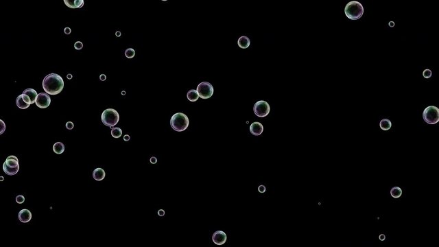 4K Soap Bubbles Animation with QuickTime Alpha Channel / Prores 4444.
High Quality Realistic Loop Animation Soap Bubbles.
Can be used with any kind of celebration events and give more alive view to yo