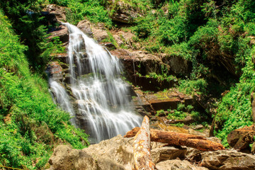 small waterfall in the forest