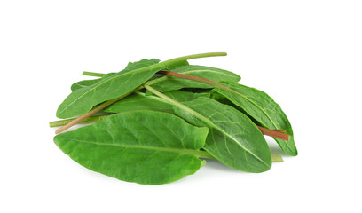 Heap of fresh sorrel leaves isolated on white background
