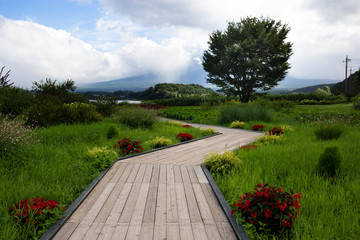 Wooden pedestrian walkway in a Japanese garden, near the Kawagochi Lake, Japan.