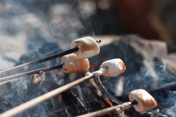 To roast marshmallows on sticks on the fire
