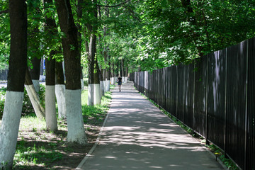 Spring alley in the city: a young woman goes into the distance