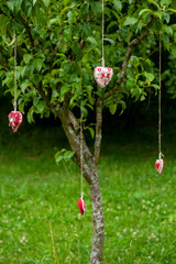 Four handmade cotton fabric heart hanging on bast string on tree on green grass background. Red...