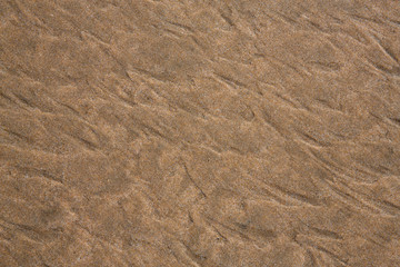 Sand close up texture from Balmedie beach