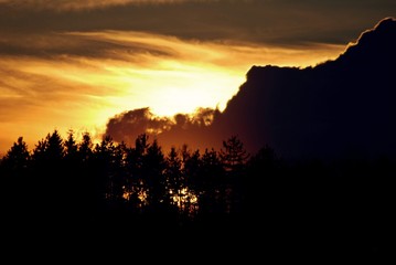 morning sunrise and sunset color sky nature landscape trees