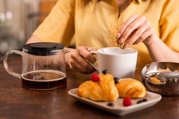 Hands of young woman putting two pieces of cane sugar into cup with fresh tea