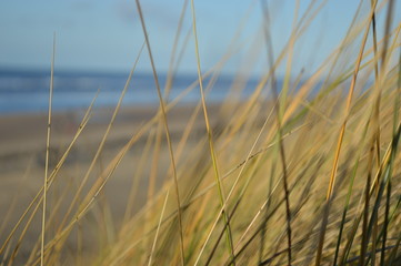 Obraz premium Strandblick