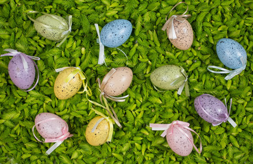 Colorful easter eggs on the fresh green background of pine needles