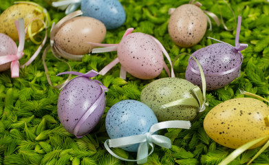 Colorful easter eggs on the fresh green background of pine needles