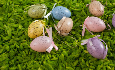 Obraz premium Colorful easter eggs on the fresh green background of pine needles