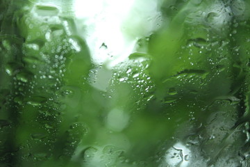 rain drops on window glass