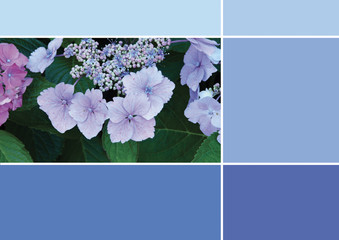 Palette nuancier Trend 2020 Color couleur bleu violet color chart