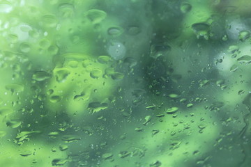 rain drops on window glass