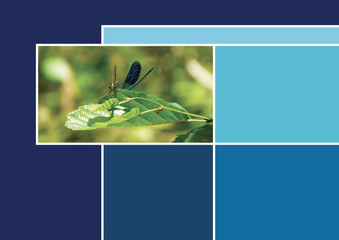 Palette nuancier Trend 2020 Color couleur bleu libellule blue color chart dragonfly	
