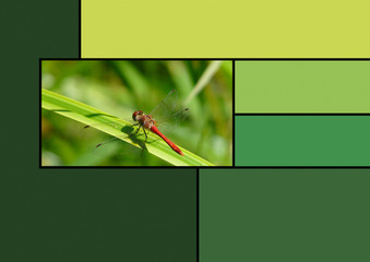 Palette nuancier Trend 2020 Color couleur vert green libellule rouge color chart dragonfly red