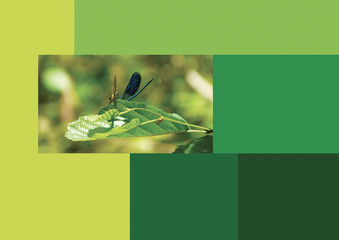Palette nuancier Trend 2020 Color couleur vert green libellule bleue blue color chart dragonfly	
