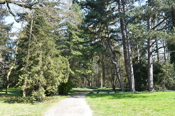 Park, Wald, Bäume, Blumen, See, Frühling