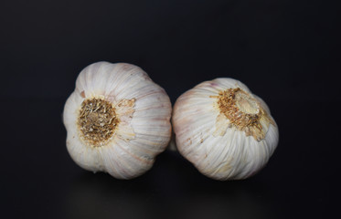 garlic on black background