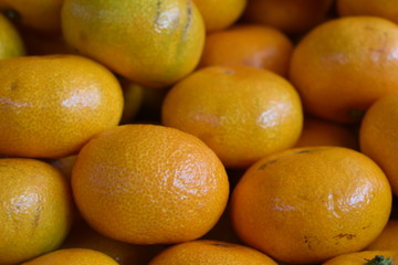 
tangerines in the market
