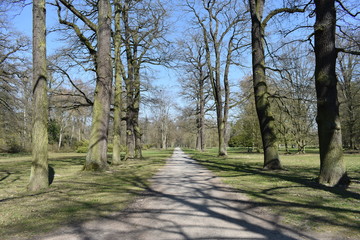 Park, Wald, Bäume, Blumen, See, Frühling