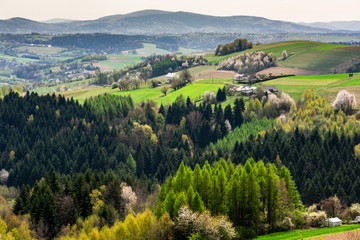 Fototapeta na wymiar Beautiful Spring Landscape in Rural Countryside. Blooming Trees and Mountains in Background