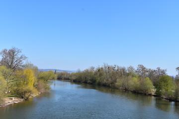 Park, Wald, Bäume, Blumen, See, Frühling