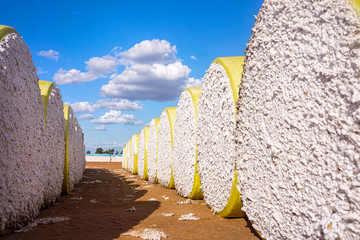 Yellow wrapped bales of cotton