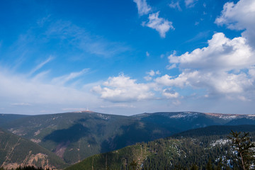 spruce forests in the mountains with a beautiful sky on a sunny day, Czech Jeseniky mountains