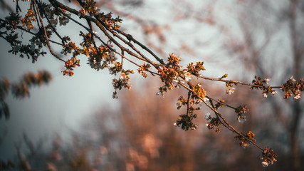 Autumn landscape