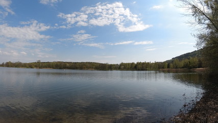 Park, Wald, Bäume, Blumen, See, Frühling