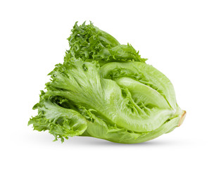 green frillies iceberg lettuce on white background