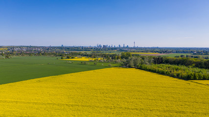 Rapeseed field (Raps) in germany