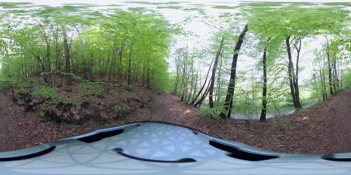 360VR, Fahrrad fährt durch Frühlingswald, VR360