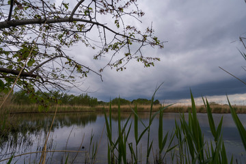 Nature Outdoor sunny rainy cloudy day