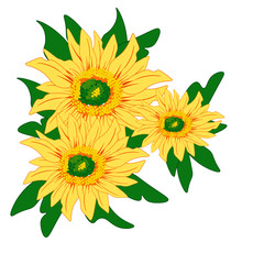 bouquet of sunflowers