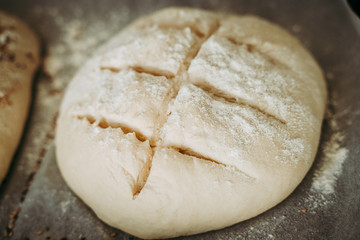 Uncooked bread before being baked