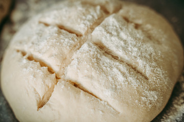 Uncooked bread before being baked