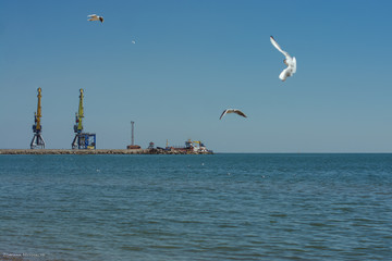 Fototapeta na wymiar Seaport / seagulls / birds / silence / peace / tranquility / harmony / sea / lighthouse / ship