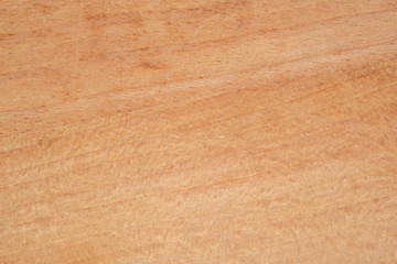 Wood texture background surface for design and decoration with old natural pattern.