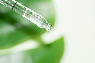 macro of pipette with liquid and drop with monstera leaf in background
