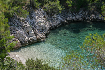 Naklejka na ściany i meble A beach surrounded by rocks, pines and a clear sea
