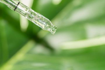macro of pipette with liquid and drop with monstera leaf in background