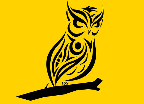 owl bird stock photos in yellow background images