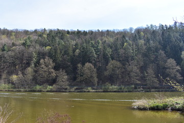 Fluss, Fulda, Wald