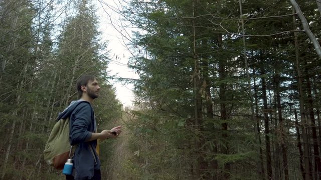 Male hiker taking photos of coniferous trees. Hiker walking at the mountain forest.